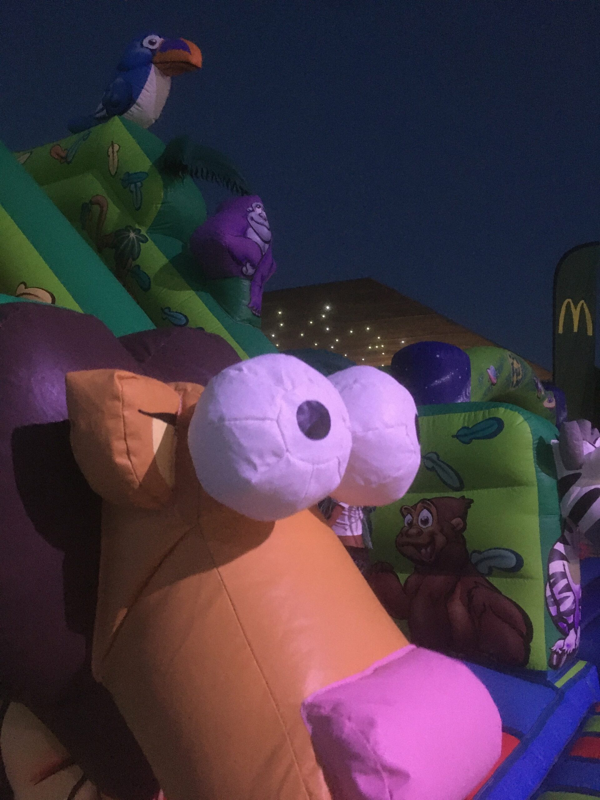 Se lancer seul ou rejoindre AmuZ’Toi ? Comparatif de rentabilité et d’accompagnement pour la location de jeux gonflables